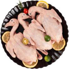 温润 食品 乳鸽净重900g（300g*3只）