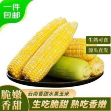 京百味 云南水果玉米 5斤