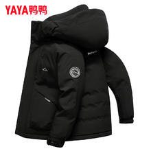 YAYA 男款2024年新款户外加厚短款冬装连帽工装冲锋外套男Y