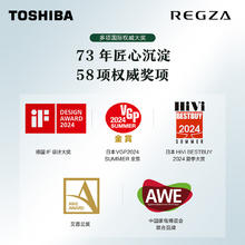 东芝 电视55英寸 4K智慧屏144Hz高刷液晶128G平板Z500NF政府补贴