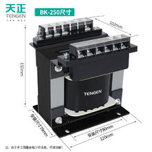 天正 TENGEN 天正 BK-250VA 单相隔离变压器 220变24 铜