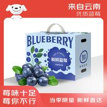 云南蓝莓22mm+巨无霸果 8盒装 约125g/盒