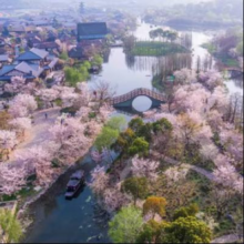 20点开始：樱花季平日不加价！拈花湾村舍/客栈住宿套餐 可选1-2晚套餐含双早门票