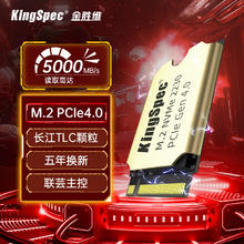 金胜维 KingSpec 1TB SSD固态硬盘NVMe 2230 M.2接口 PCIe4.0 XF系列