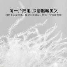 百丽丝 水星家纺被子抗菌鹅毛a类独立方格锁温保暖冬季被子宿舍家用 抗菌鹅毛冬被 150cm×210cm
