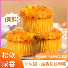 华生园 奶油椰蓉香葱卷肉松拔丝蛋糕流心面包早餐吐司