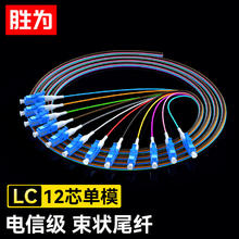 胜为 电信级光纤跳线尾纤 1.2米12芯单模LC束状尾纤 ODF单元体光纤机架网线配线FLS-1210