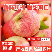 红富士 HOMES 加陕西丑红富士苹果水果新鲜应当季丑苹果皮薄脆甜多汁整箱 洛川丑富士3斤装75-85mm
