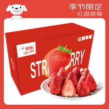 去商家购买 京鲜生 丹东99红颜奶油草莓 1.5斤 250g*3盒 11-15粒/盒