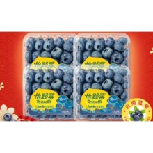 怡颗莓 当季云南蓝莓 大果125克*4盒