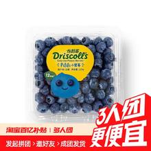 Driscoll's 怡颗莓 云南新鲜当季水果蓝莓小果125g4盒