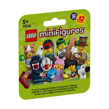 乐高 LEGO 积木拼装71048 小人仔系列27男孩女孩儿童玩具生日礼物