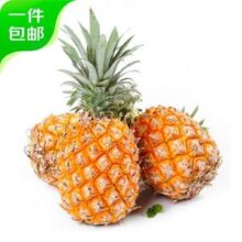 地标产品，京鲜生 徐闻香水菠萝 净重4.5斤 单果750g+ 2-3粒
