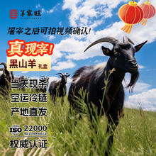 羊家旺 宁夏滩羊肉 黑山羊整只 28斤 新鲜带黑尾 年货礼盒
