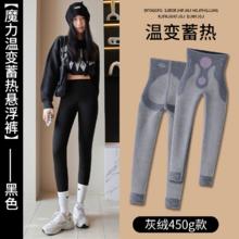 帕兰诱惑 女士温变悬浮鲨鱼裤 pl929102258