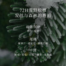 LONGTAKE 雪野松檀侧柏叶洗发水控油蓬松檀香氛持久洗发露护发精油