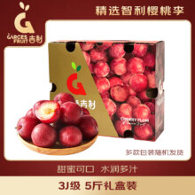 京东百亿补贴、plus会员:京鲜生 GarcesFruit吉制 智利樱桃李3J级 5斤礼盒装 新鲜水果 源头直发