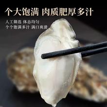 88VIP会员：喵满分 鲜活乳山生蚝特大刺身级可生食牡蛎带壳海蛎子5斤海鲜贝类水产