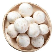 新鲜口蘑 白蘑菇双孢菇250g