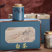 承艺 特级茶叶绿茶白茶  200g 礼盒装