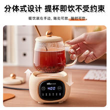 小熊 迷你养生壶办公室小型全玻璃恒温多功能家用mini养生杯电炖杯