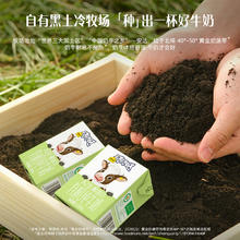 认养一头牛 纯牛奶 有机A2β酪蛋白儿童牛奶 125ml*4盒