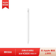 苹果 Apple Pencil (USB-C)适用于2023/22/21款12.9英寸和11英寸iPad Pro/2022款10.9英寸iPad Air MUWA3CH/A