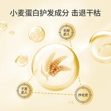 蜂花 小麦蛋白营养护发素顺滑滋养修护毛糙450ml