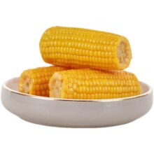 良农嫁稻 东北小玉米棒 黄糯玉米 130g*6穗