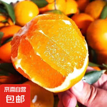 四川金堂脐橙手剥橙子纽荷尔橙新鲜孕妇水果整件包邮 甜橙带箱4斤装60mm