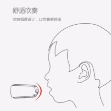 Hape儿童口琴 木制10音阶蓝调口琴全音阶顺音阶 1-3-6岁男女小孩礼物 E8474儿童布鲁斯口琴（珊瑚橙）