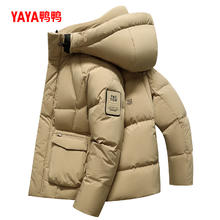 YAYA 鸭鸭 时尚都市 男士羽绒服 YE4B011335W-gf1