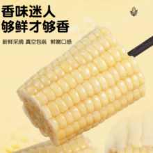 五谷颂 东北白糯玉米 250g*8支装