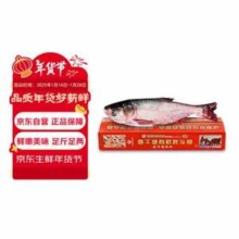 舌尖推荐，某东自营 冬捕有机查干湖胖头鱼礼盒 7.5-8斤/1条