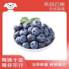 京鲜生 Mr.Seafood 云南蓝莓22mm+巨无霸果 4盒装 约125g/盒 生鲜水果