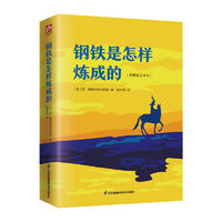 《钢铁是怎样炼成的》
