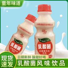 乳酸菌饮品特价340ml草莓味早餐酸奶牛奶酸味乳饮料美味营养饮品