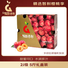 京鲜生 GarcesFruit吉制 智利樱桃李2J级 5斤礼盒装 新鲜水果 源头直发 5斤 家庭装