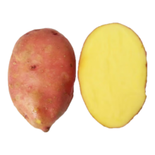 云南红皮土豆高原黄心土豆云南土豆新鲜红皮黄心洋芋 云南红皮土豆 半斤 单果1-3两