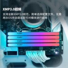 金士顿 (Kingston) FURY 8GB DDR4 3200 台式机内存条 Beast野兽系列 RGB灯条 特别版 骇客神条