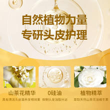花王 无硅油山茶花护发素750ml 染烫修护改善毛躁柔顺修复女正