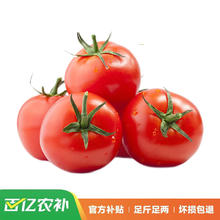 京东PLUS：京觅 山东普罗旺斯西红柿 净重5斤装 单果100g