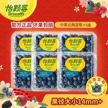 Driscoll's 怡颗莓 当季云南蓝莓 国产蓝莓 新鲜水果 中果6盒