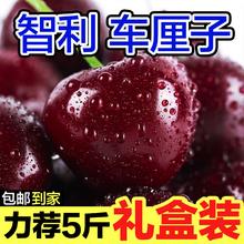 鲁禧海岸 智利车厘子净重4.5斤JJ级
