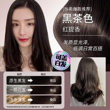 韩金靓 HANJINLIANG 易梳彩染发剂 黑茶色180ml（可盖白发）