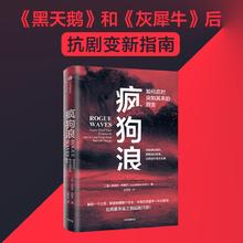 《疯狗浪》乔纳森·布里尔著