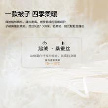 水星家纺 桑蚕丝95白鹅绒二合一被 150cm×210cm 军绿色