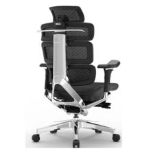 迩高迈思 Evolution2 PROMAX 人体工学椅 魅力黑