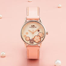 COACH 蔻驰 GRAND系列 女士石英表 14503009 军绿色