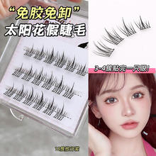 霏汐 FAICCIA 免胶女团款猫爪爪太阳花假睫毛超自然三部曲无梗眼尾整条千金日常